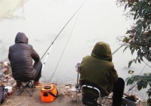 钓鱼爆料视频最新版,揭秘钓鱼技巧与陷阱  第1张